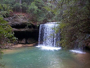 Bankhead National Forest