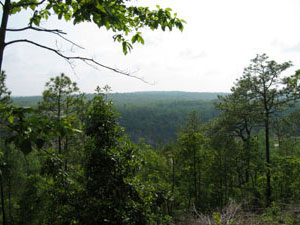 Chewacla State Park