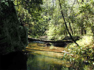 Dismals Canyon State Park