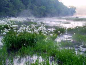 Hatchet Creek Alabama