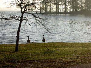 Lake Martin State Park