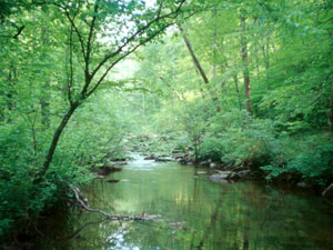 Shoal Creek Alabama
