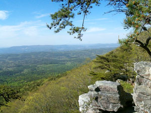 Talladega National Forest