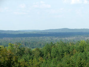 Talladega National Forest