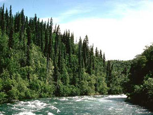 Alagnak National Wild River