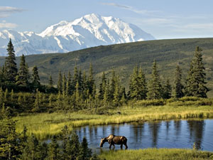 Denali National Park