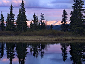 Denali National Park