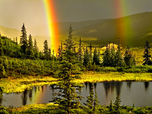 Denali National Park