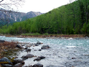 Kijik River - Lake Clark National Park