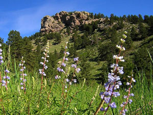 Arthurs Rock - Lorypark State Park