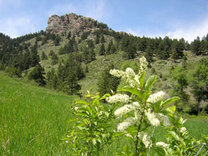 Arthurs Rock - Lorypark State Park