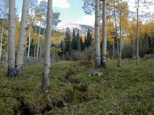 Colorado State Forest State Park