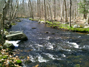 Aspetuck Valley State Park