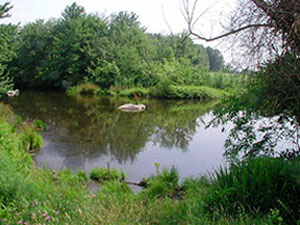 Haley Farm State Park