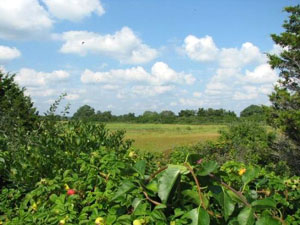 Hammonassett Beach State Park