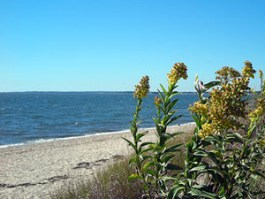 Hammonassett Beach State Park