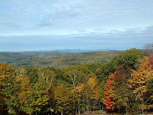 Mohawk State Forest