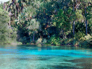 Alexander Springs State Park