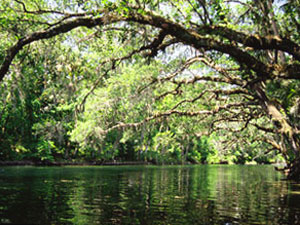 Blue Springs State Park