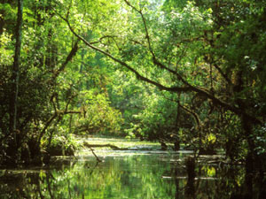 Everglades National Park