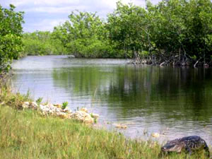 Everglades National Park