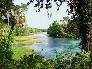 Rainbow Springs State Park