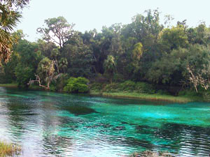 Rainbow Springs State Park