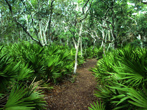 Tomoka State Park