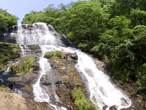 Amicalola Falls State Park