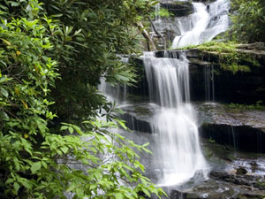 Chattahoochee National Forest