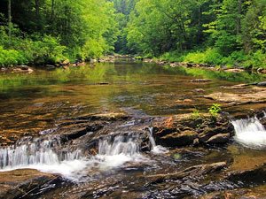 Chattahoochee National Forest