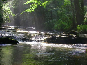 Chattahoochee National Forest