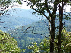 Chattahoochee National Forest