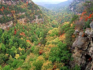 Cloudland Canyon State Park