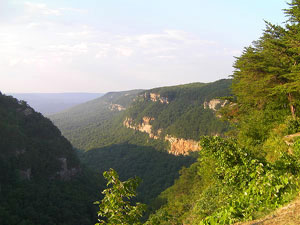 Cloudland Canyon State Park