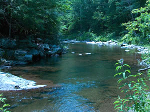 Cohutta Wilderness Area - Jacks River