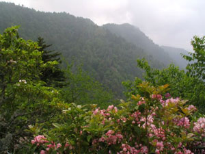 North Georgia Mountains