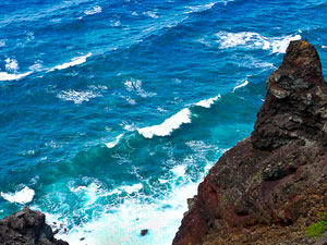 Hawaii coast