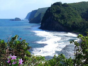 Kohala north coast
