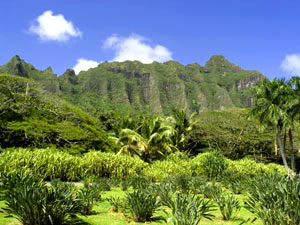 Koolau Mountains Oahu