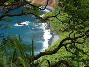 Maui Coast