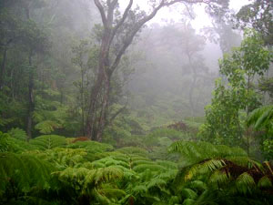 Volcanoes National Park