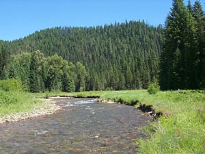 Avery Creek