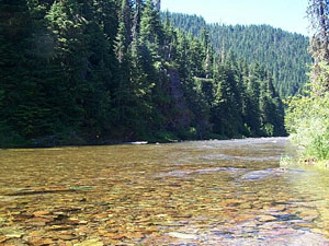 North Fork Coeur d' Alene River