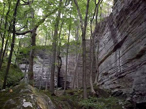 Ferneclyffe State Park