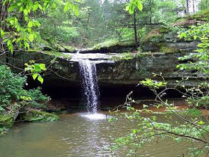 Shawnee National Forest