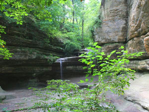 Starved Rock State Park - Lasalle Canyon