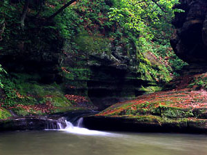 Starved Rock State Park