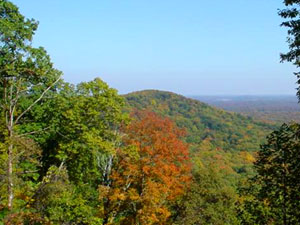 Clark State Forest