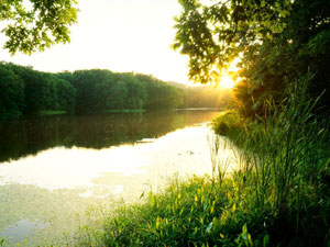 Clark State Forest Schlamm Lake